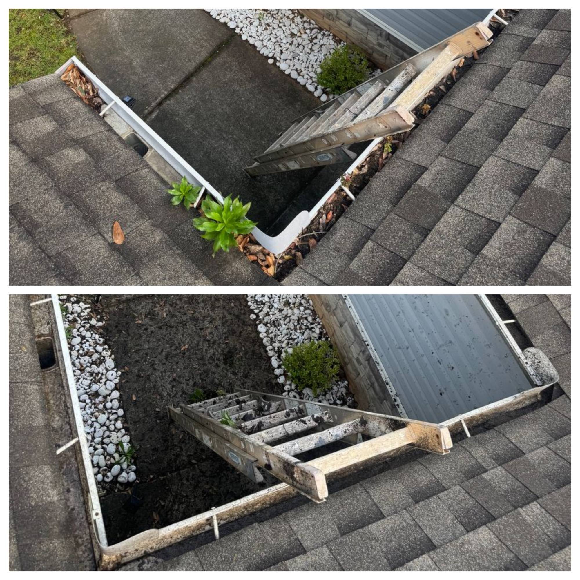 Gutter Cleaning this Gutter Jungle in McDonough, GA